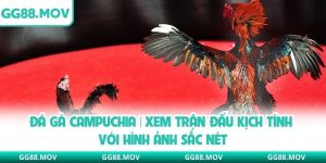 Đá Gà Campuchia | Xem Trận Đấu Kịch Tính Với Hình Ảnh Sắc Nét